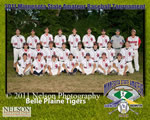 2011 State Tournament Team