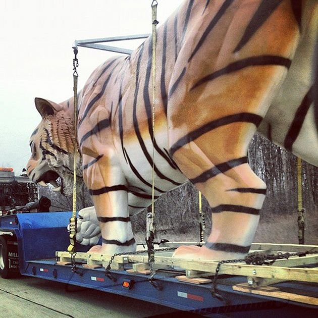 Tiger on the Freeway
